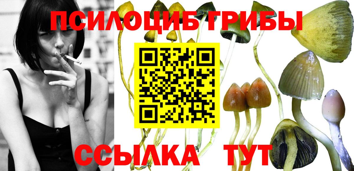 Галлюциногенные грибы мухоморы Новодвинск